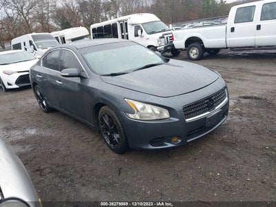 Nissan Maxima 2010