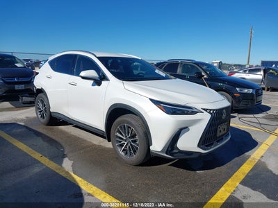 Lexus Nx 2022