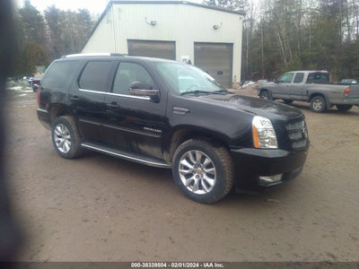 Cadillac Escalade 2013