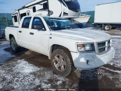 Ram Dakota 2011
