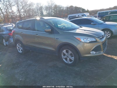 Ford Escape 2013