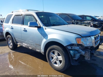 Ford Escape 2008