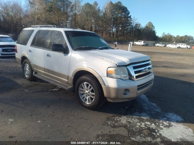 Ford Expedition 2010