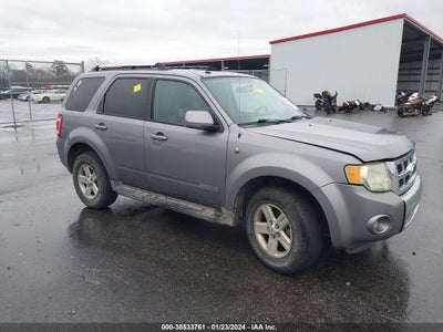 Ford Escape 2008