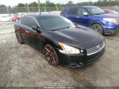Nissan Maxima 2011