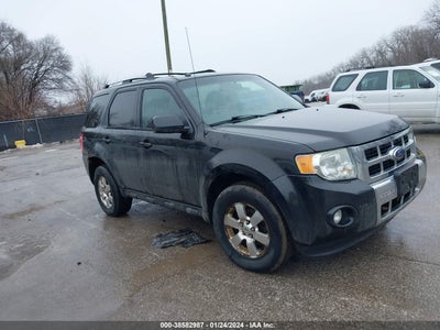 Ford Escape 2011