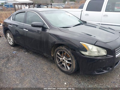 Nissan Maxima 2011