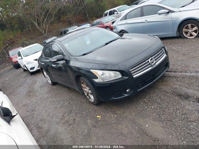 Nissan Maxima 2011
