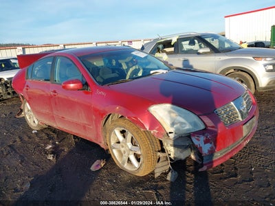 Nissan Maxima 2004