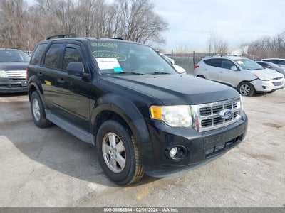 Ford Escape 2011