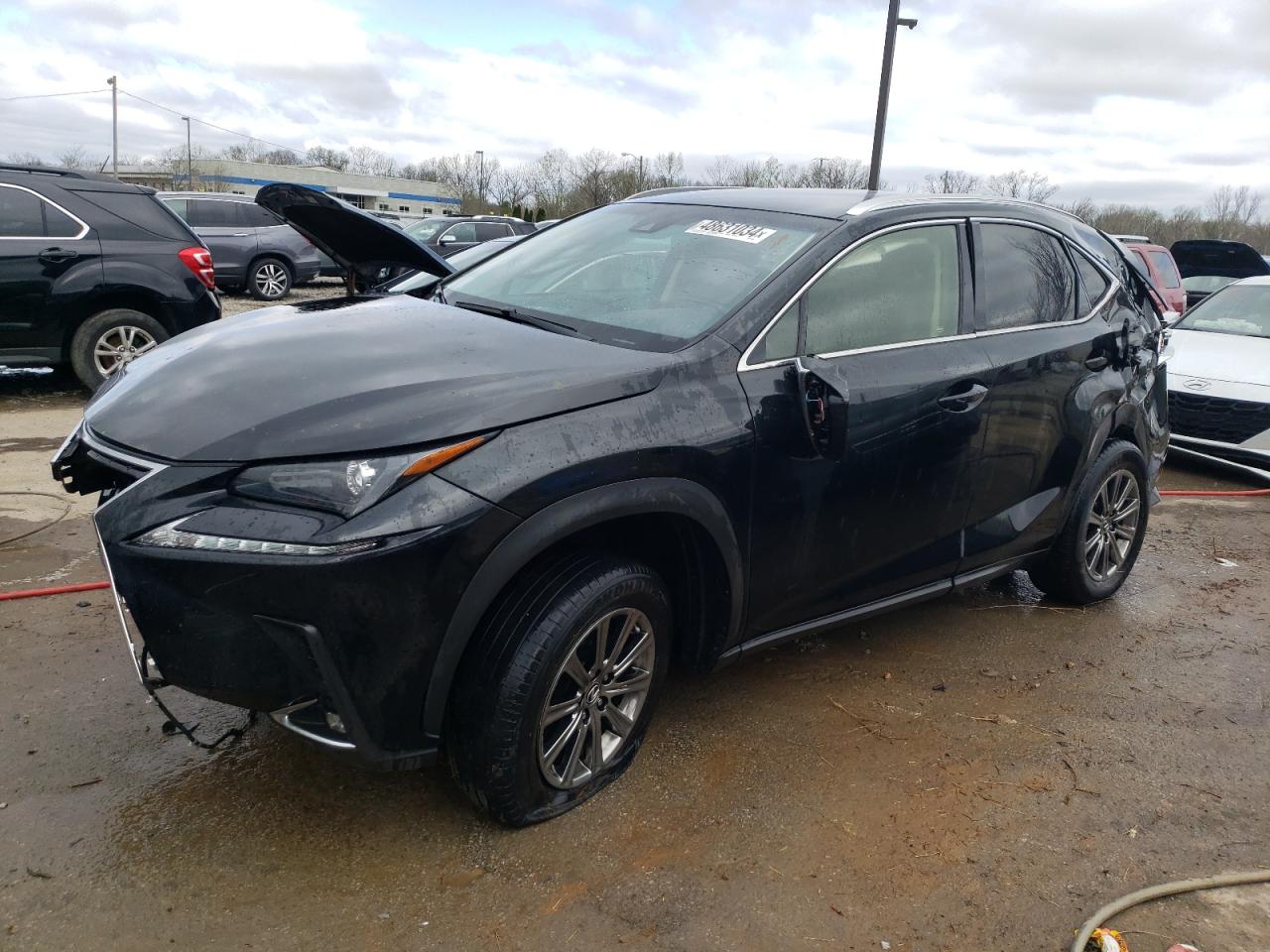 JTJYARBZ9J2103694 LEXUS NX 300 BAS с аукциона США | Day Drive