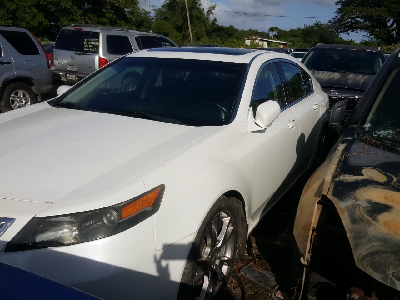 ACURA TL ADVANCE 2013