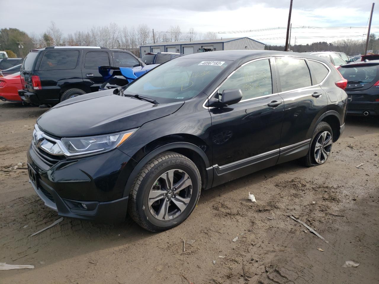 Honda Cr-v 2019