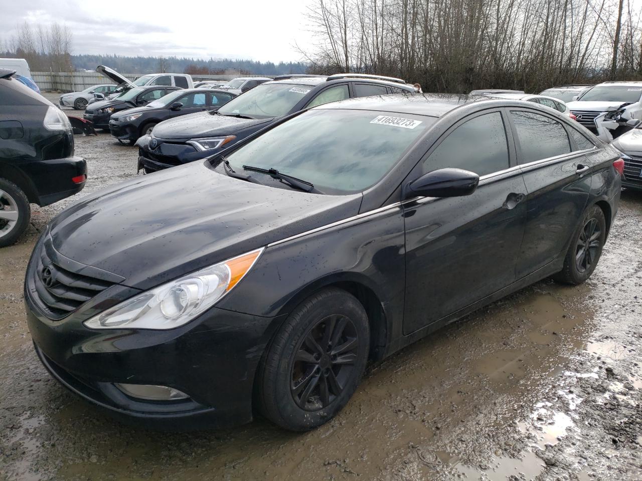Hyundai Sonata 2013