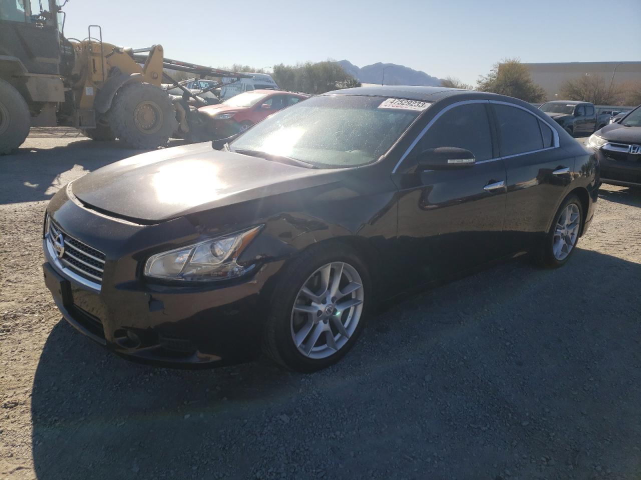 Nissan Maxima 2011
