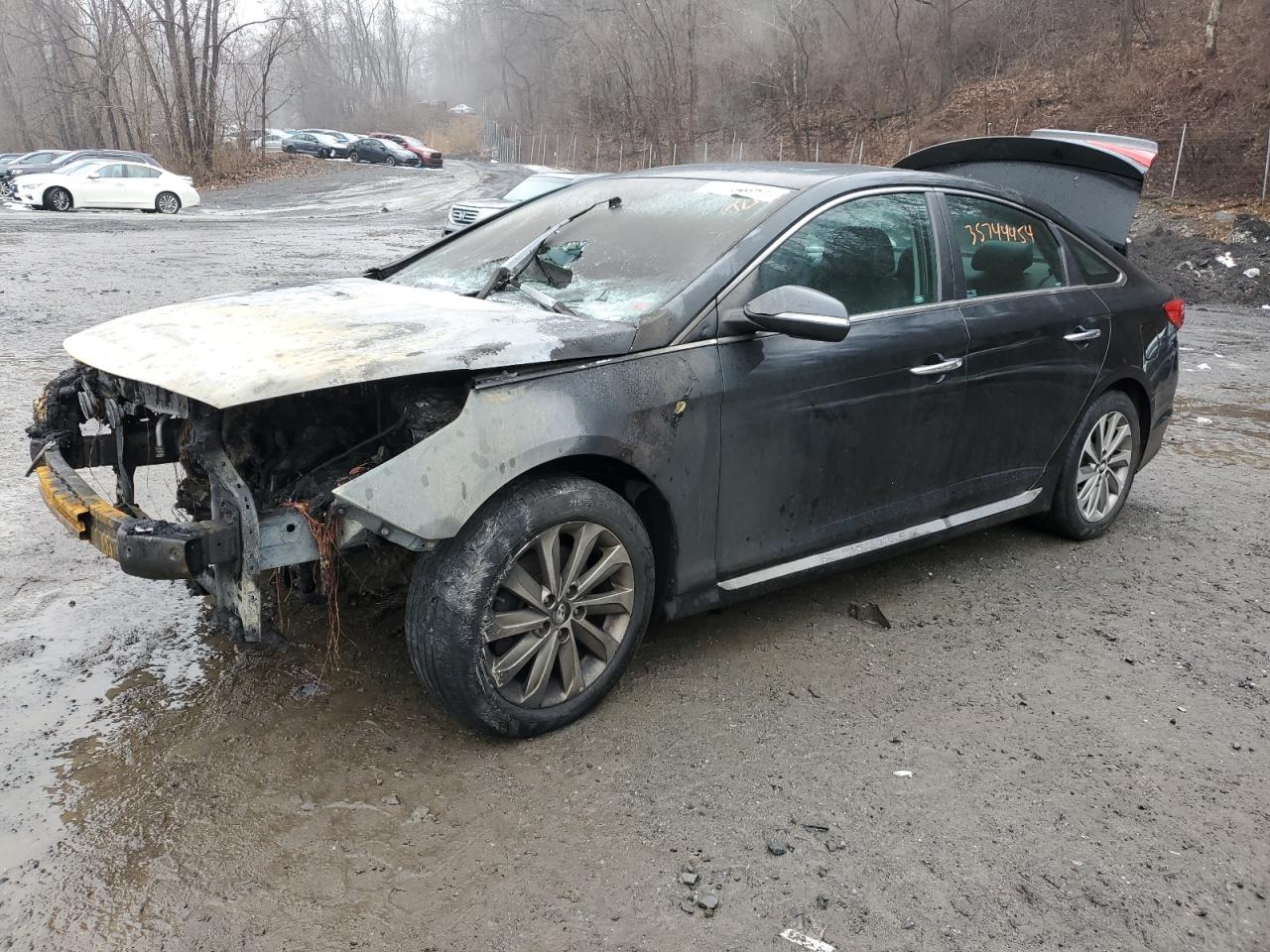 HYUNDAI SONATA SPO 2017