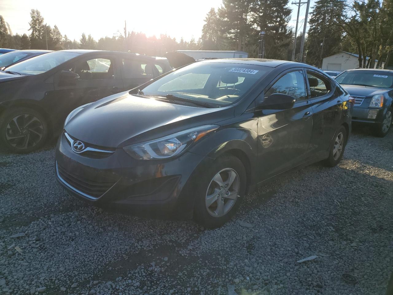 HYUNDAI ELANTRA SE 2015