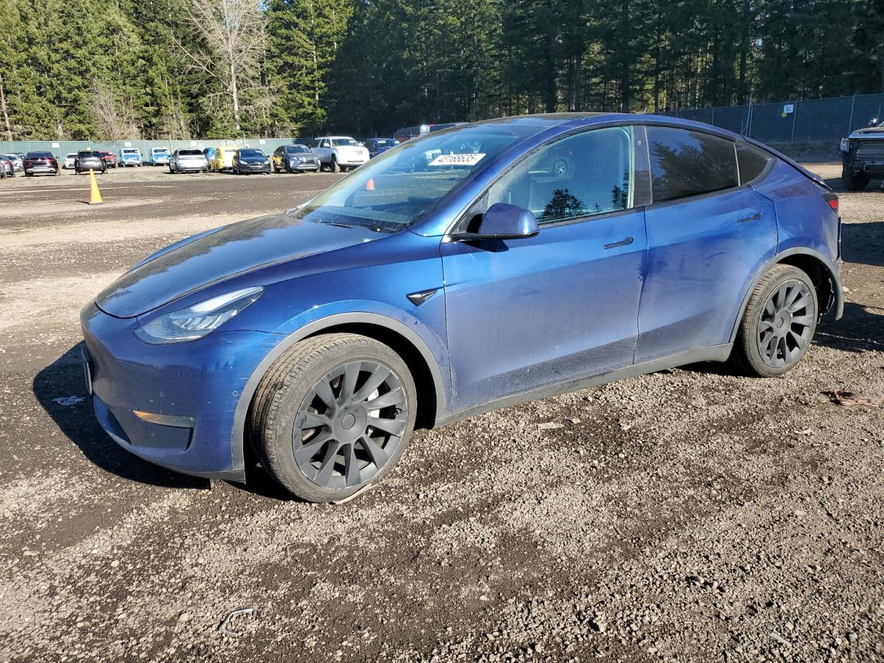 TESLA MODEL Y 2020