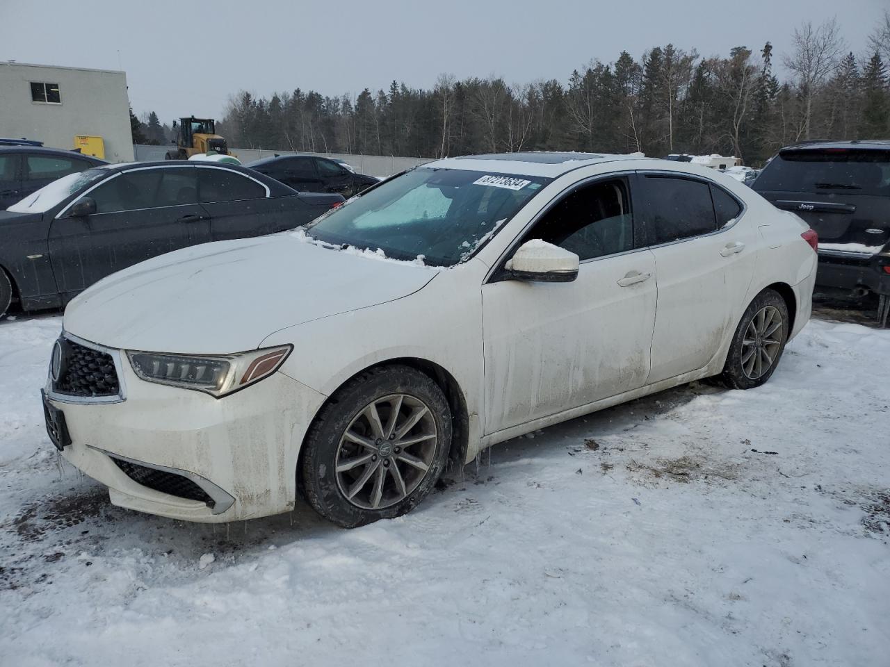 ACURA TLX TECHNO 2019