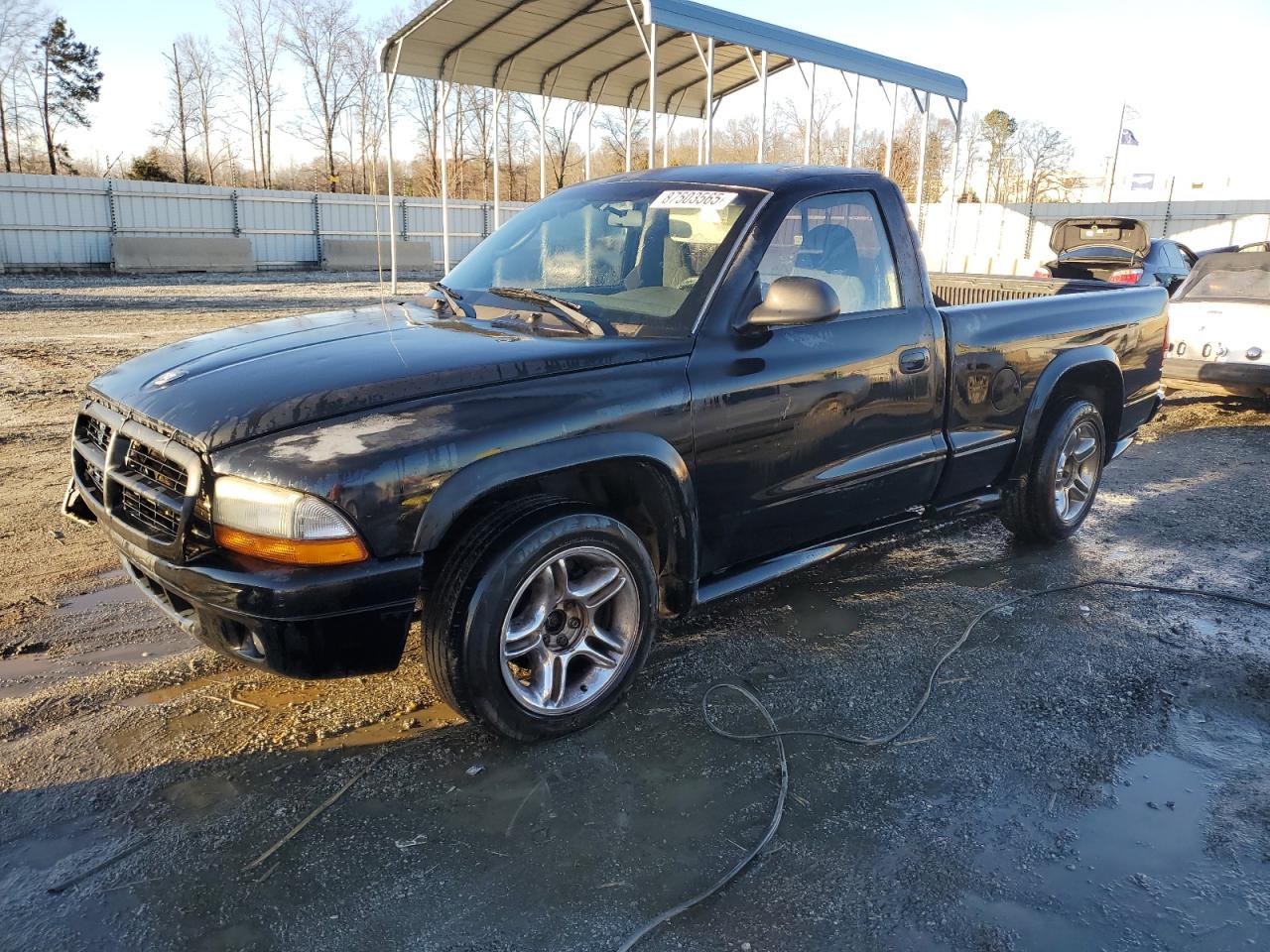 DODGE DAKOTA RT 2003