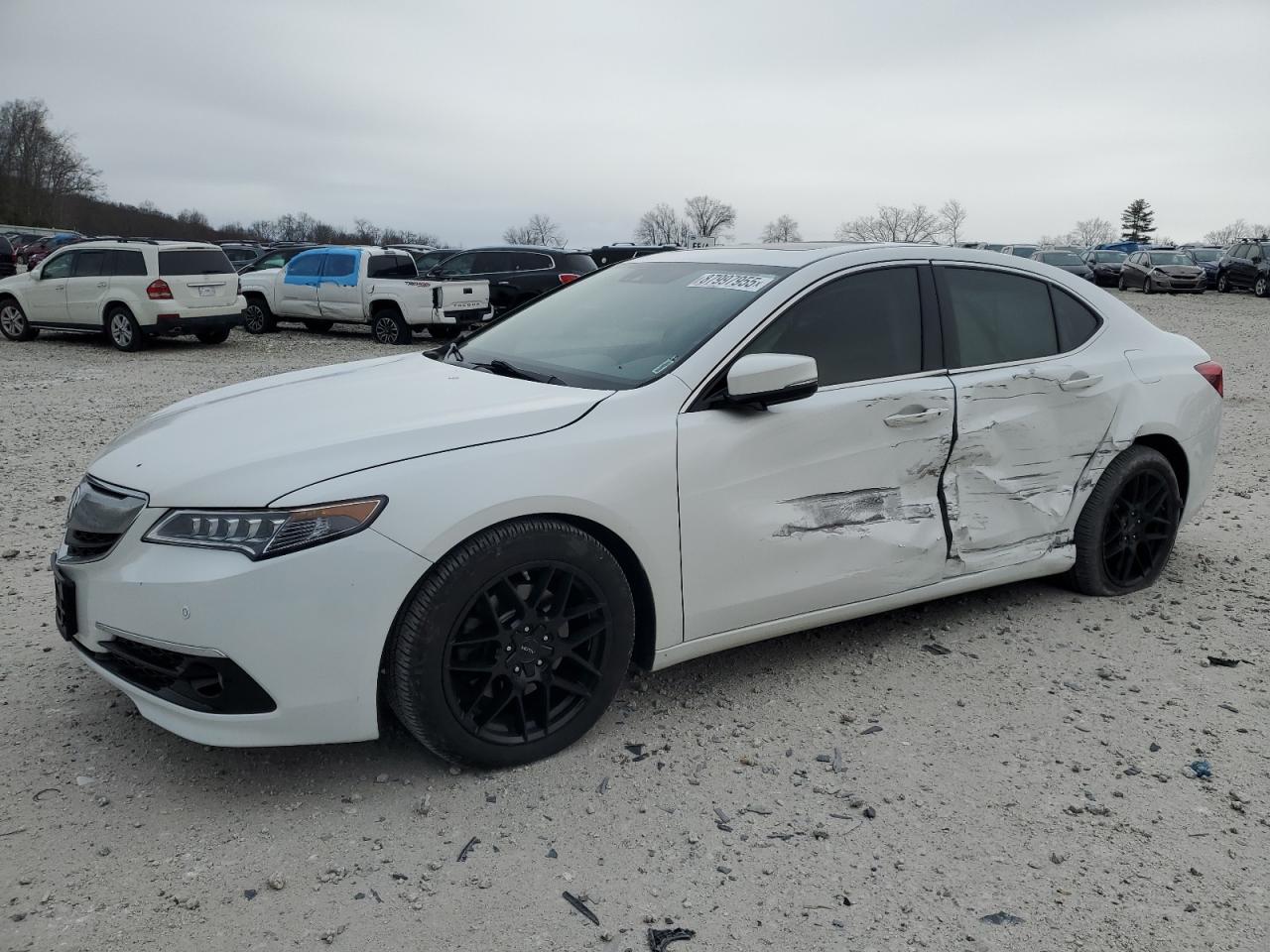 ACURA TLX ADVANC 2015