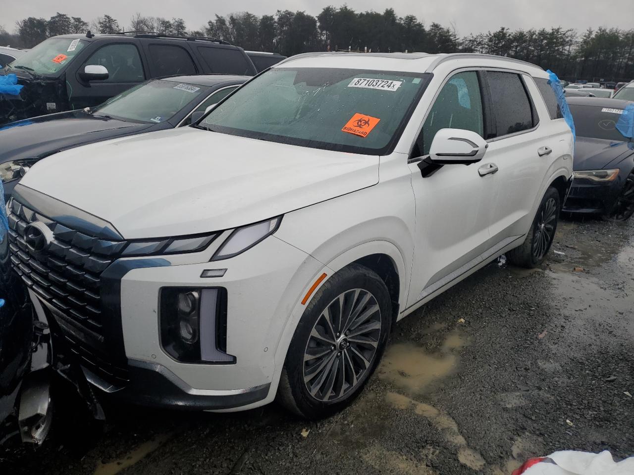 HYUNDAI PALISADE C 2023
