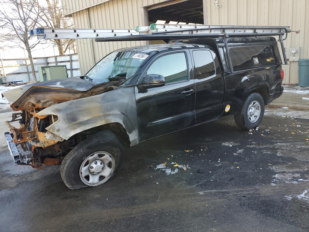 TOYOTA TACOMA ACC 2023