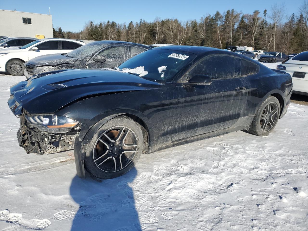 FORD MUSTANG 2019