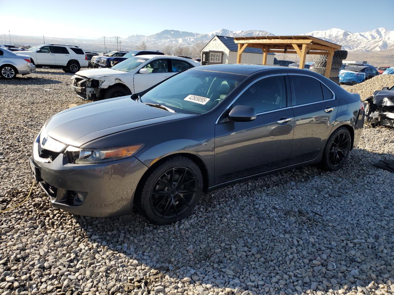 ACURA TSX 2010