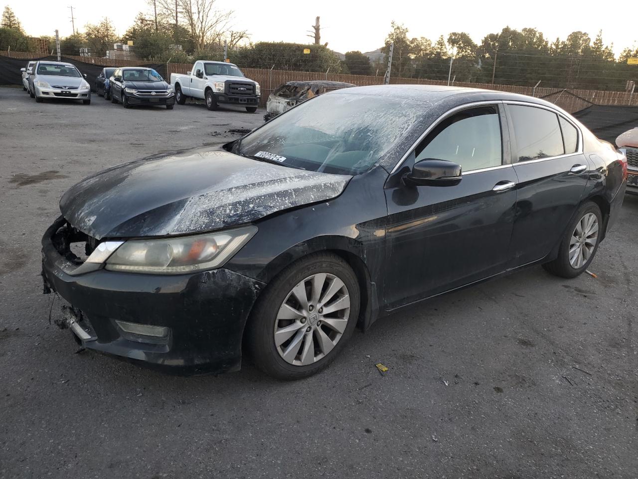 HONDA ACCORD EXL 2013