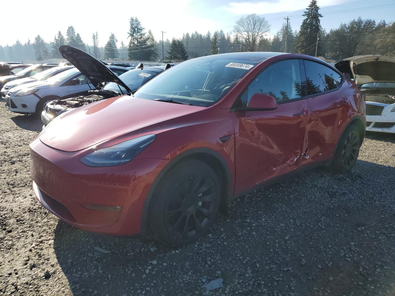 TESLA MODEL Y 2023