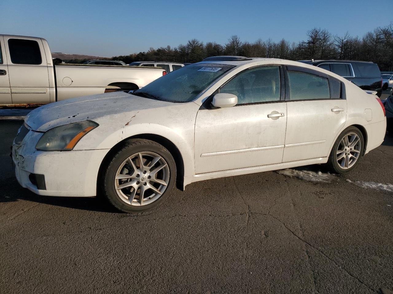 NISSAN MAXIMA SE 2008