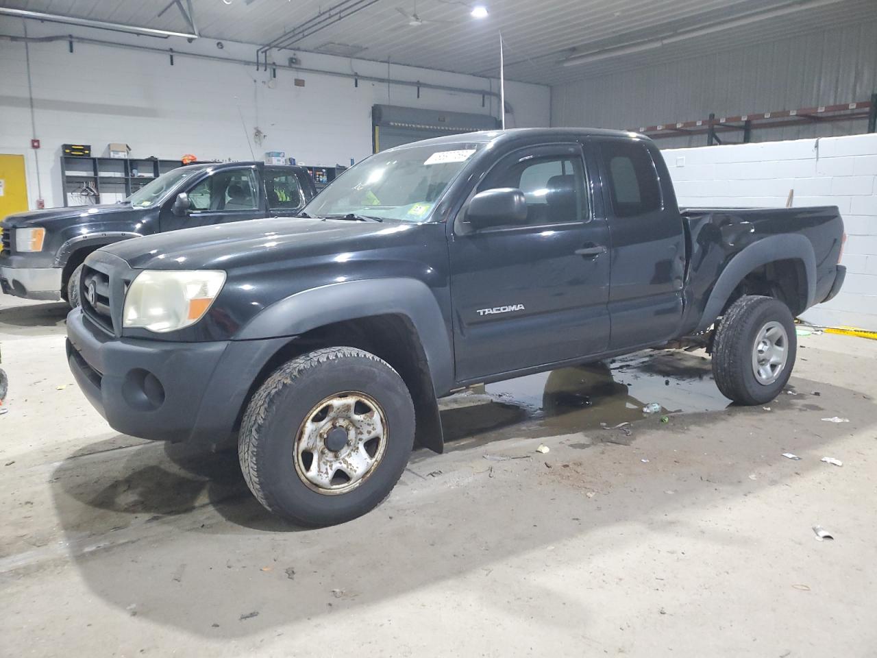 TOYOTA TACOMA ACC 2005