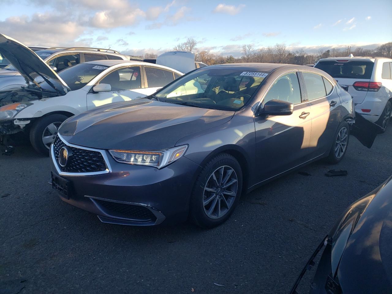 ACURA TLX TECHNO 2019