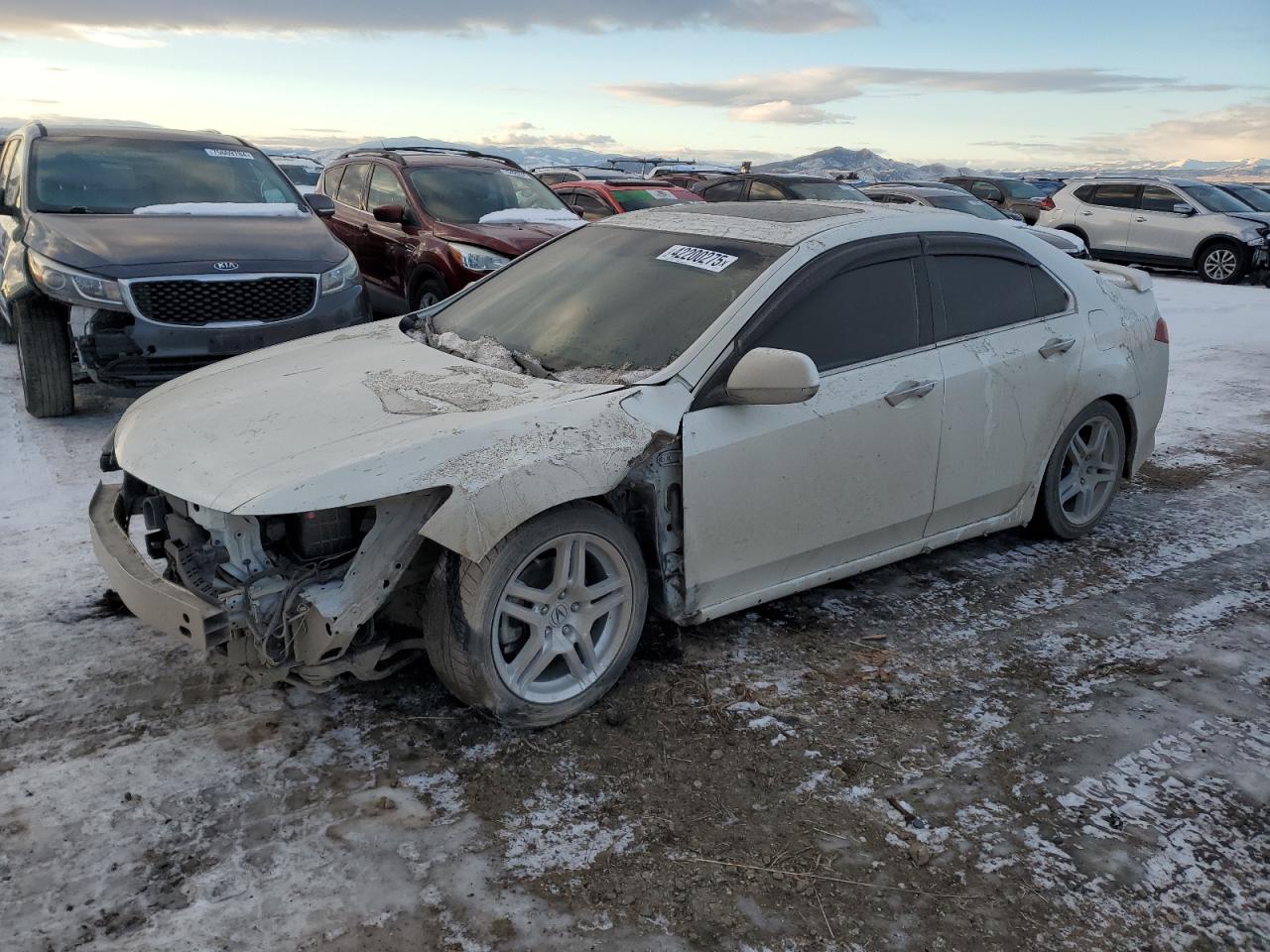 ACURA TSX SE 2013