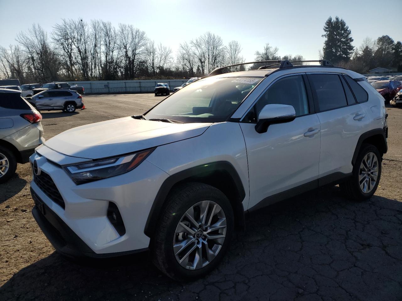 TOYOTA RAV4 2024