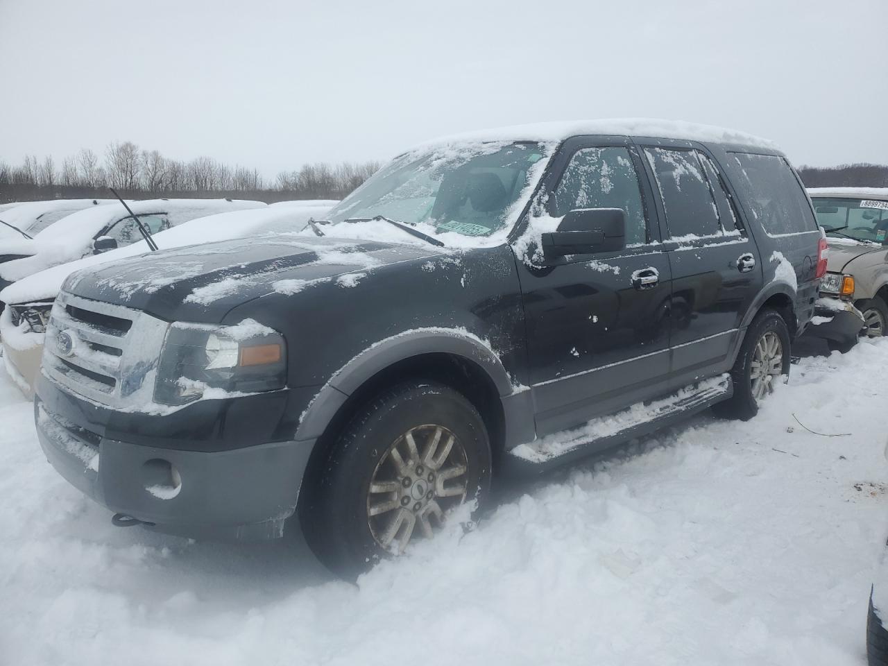 FORD EXPEDITION 2012