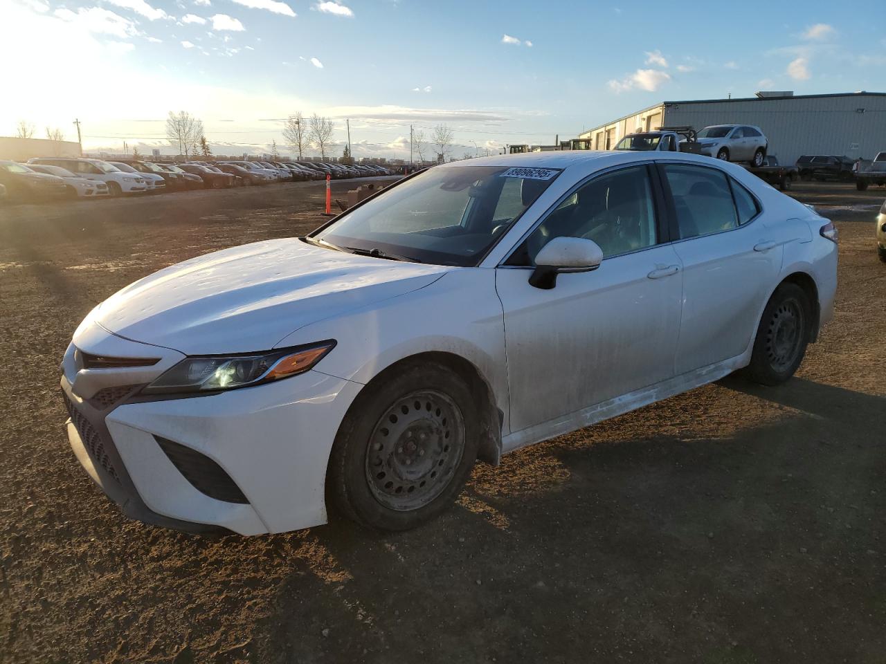 TOYOTA CAMRY SE 2020