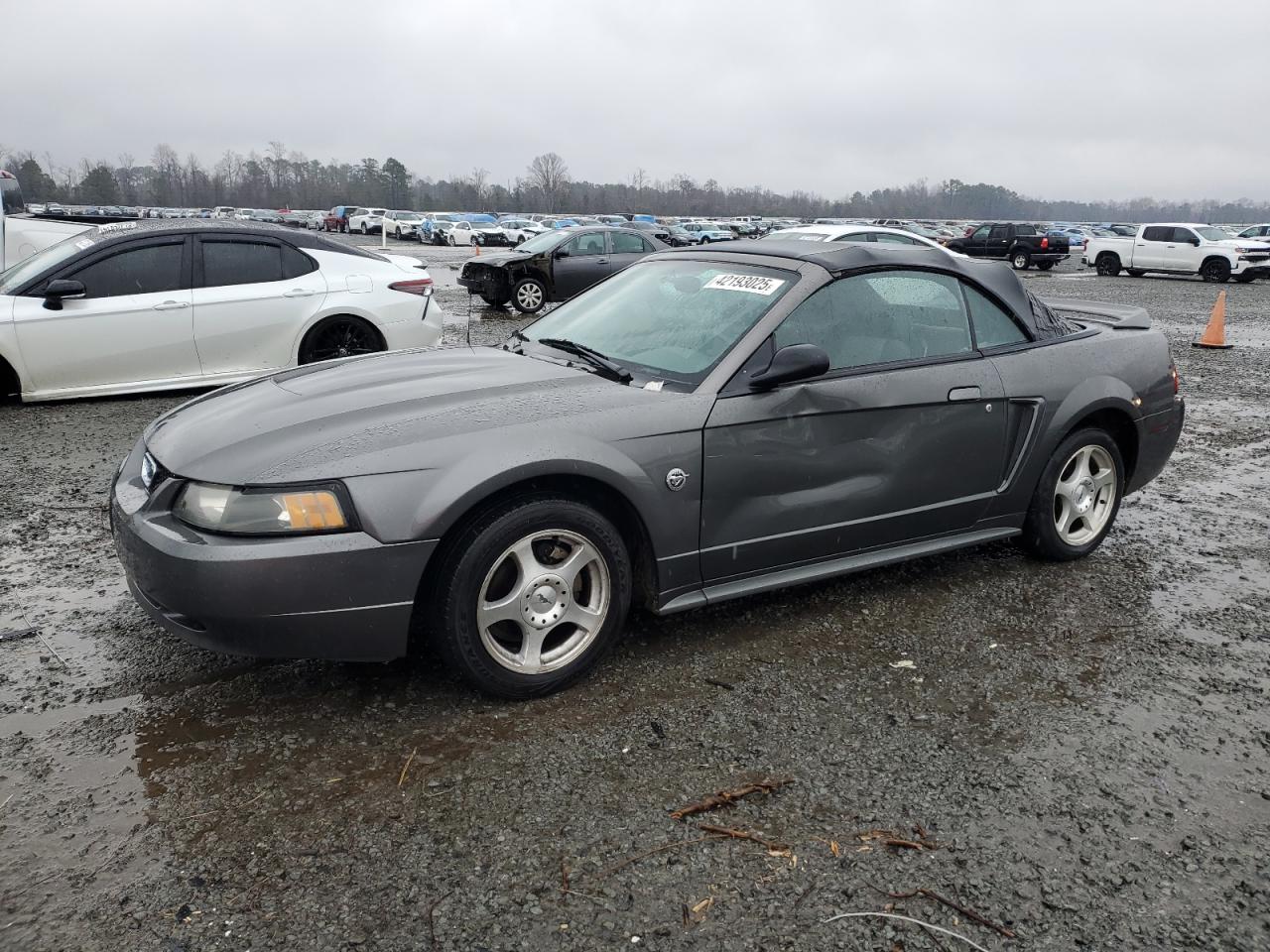 FORD MUSTANG 2004
