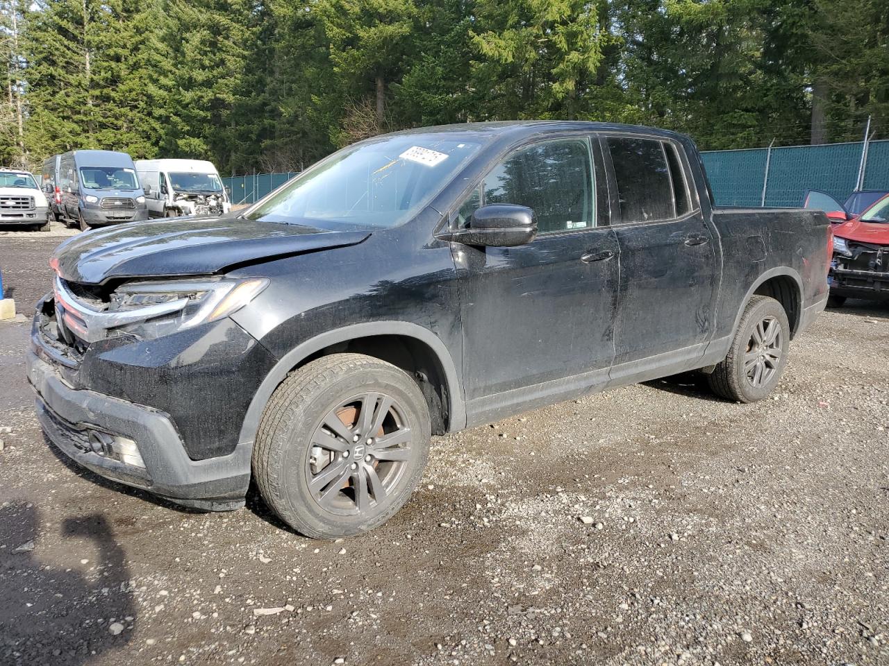 HONDA RIDGELINE 2019