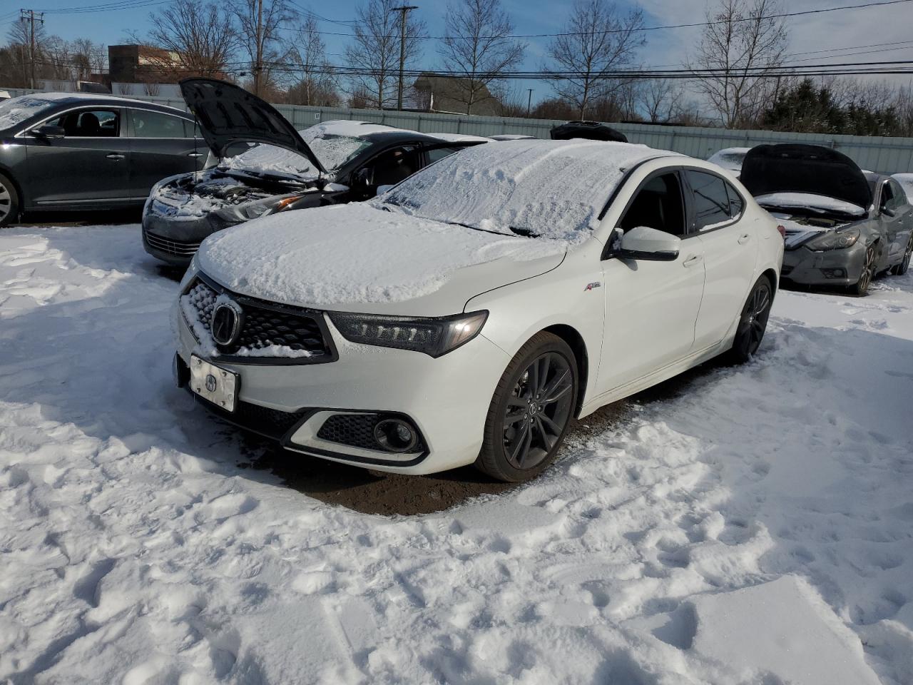 ACURA TLX TECHNO 2020