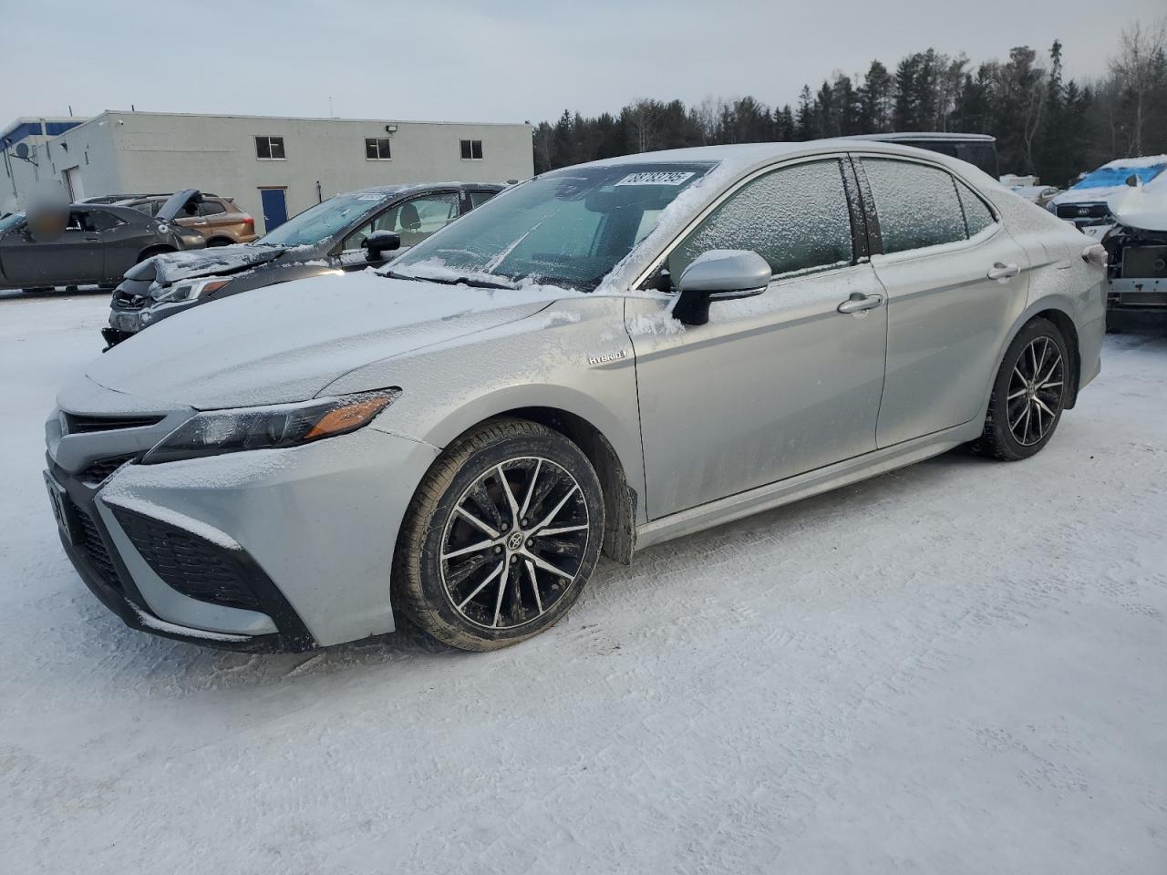 TOYOTA CAMRY XLE 2021