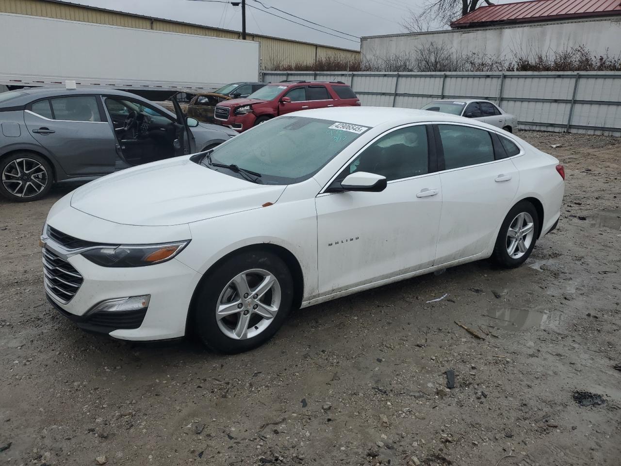 CHEVROLET MALIBU LS 2024