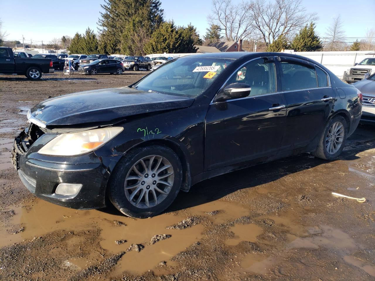 HYUNDAI GENESIS 3. 2009