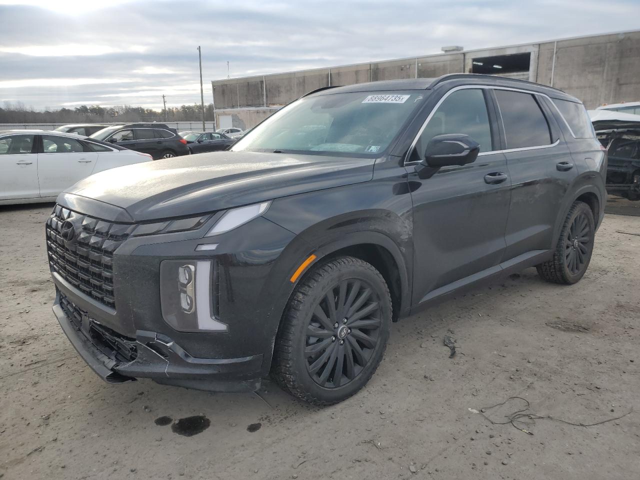 HYUNDAI PALISADE C 2024