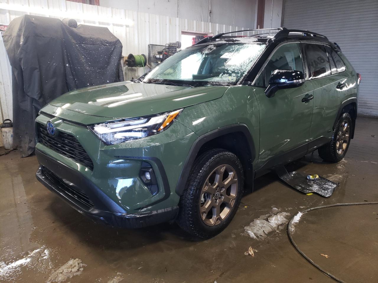 TOYOTA RAV4 WOODL 2024