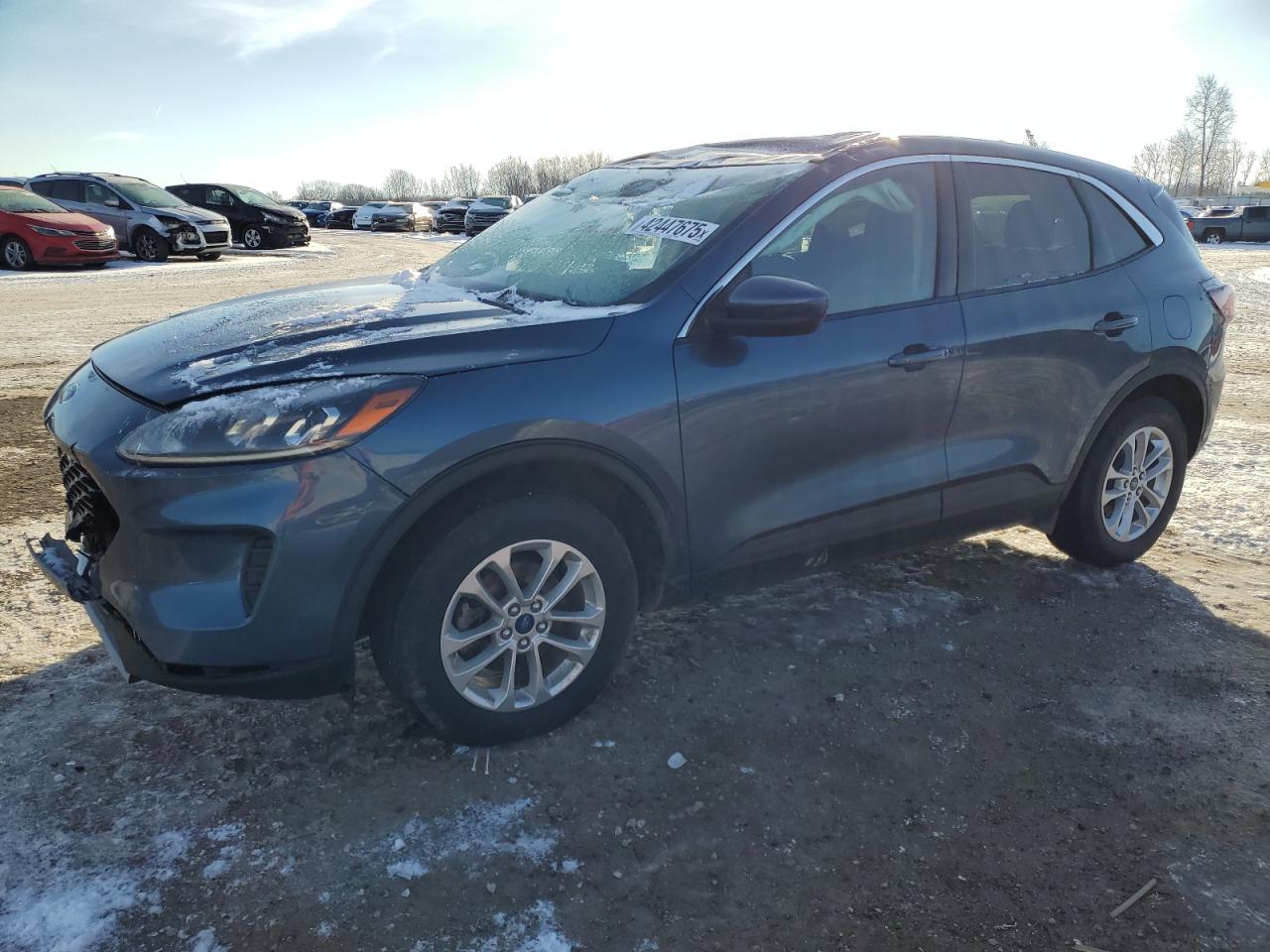 FORD ESCAPE SE 2020
