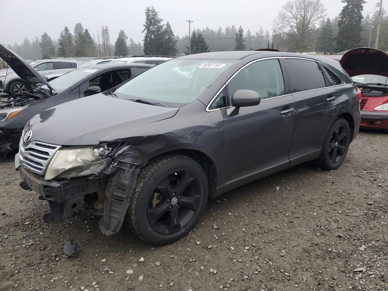 TOYOTA VENZA 2009