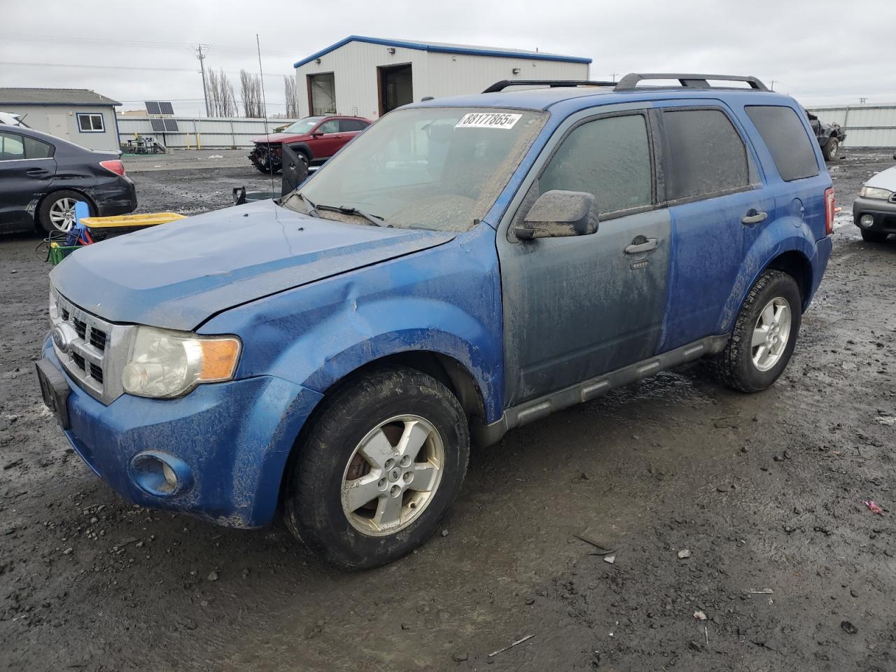 FORD ESCAPE XLT 2011