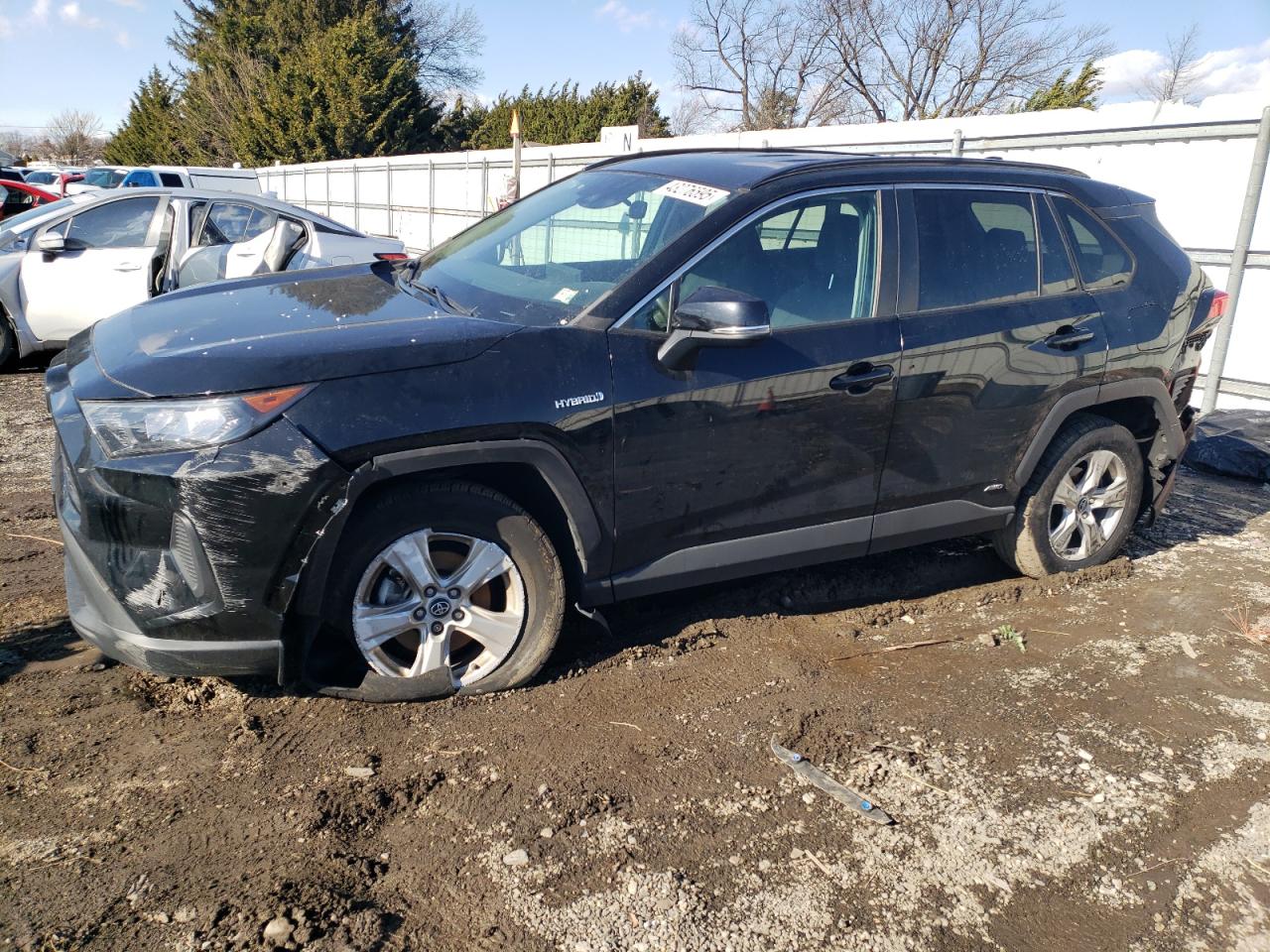 TOYOTA RAV4 LE 2020